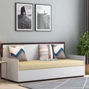 Sofa Cum Bed With Storage in Designer